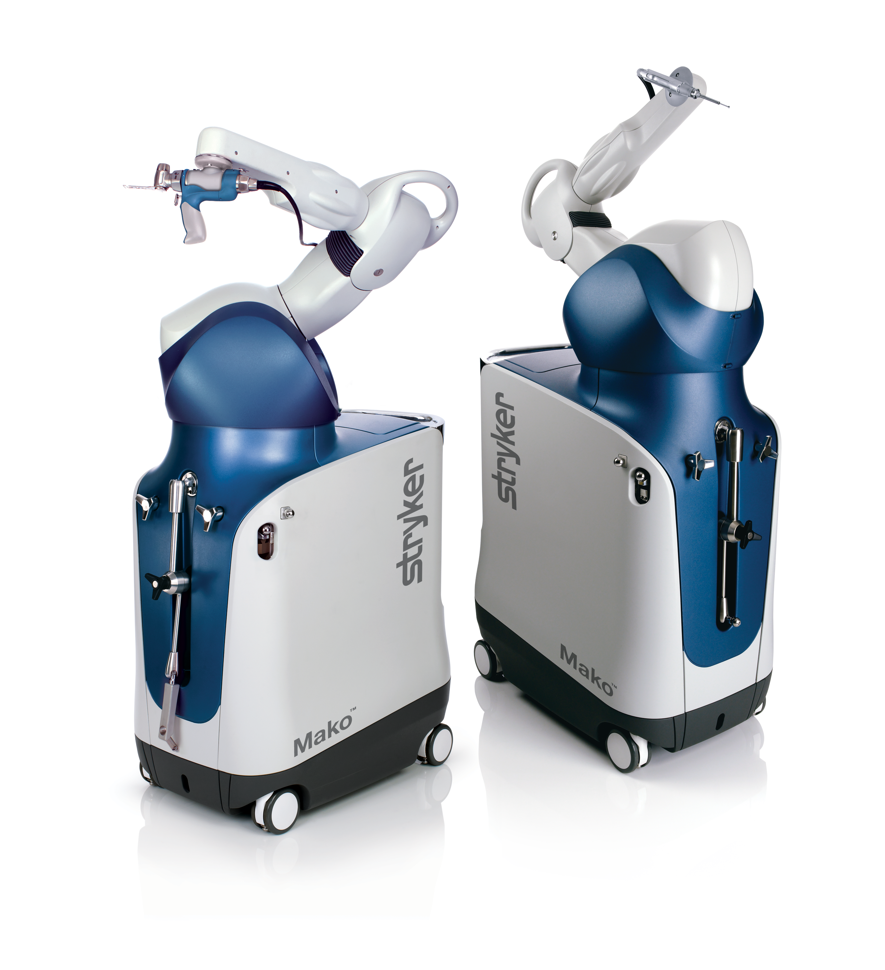 Rosa Knee System
